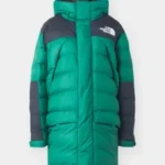 The North Face W LIMBARA INSULATED PARKA - Manteau d'hiver - evergreen